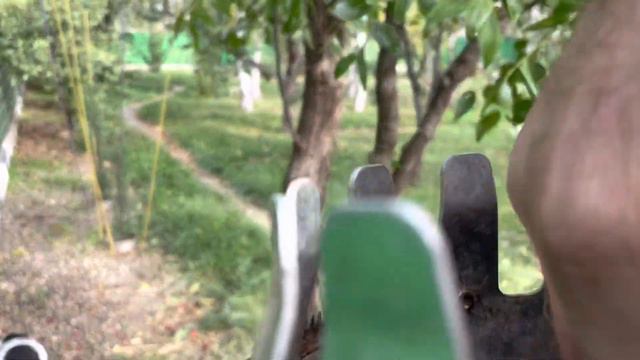 Александр Док хочет исправить свою ошибку… смотреть онлайн