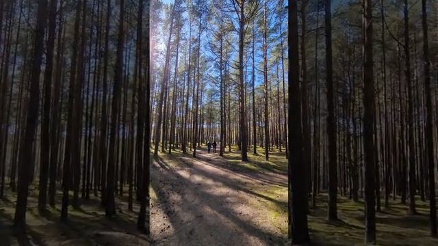 Санаторий Градиали, Паланга, Литва. 23 апреля + 19°C ? | LITVA.LT