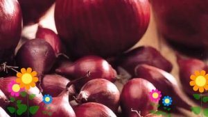 Лук репчатый Ред Барон. Краткий обзор, описание характеристик, где купить семена, луковицы