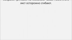 Как загнуть фанеру