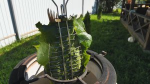 Белый амур в виноградных листьях в тандыре