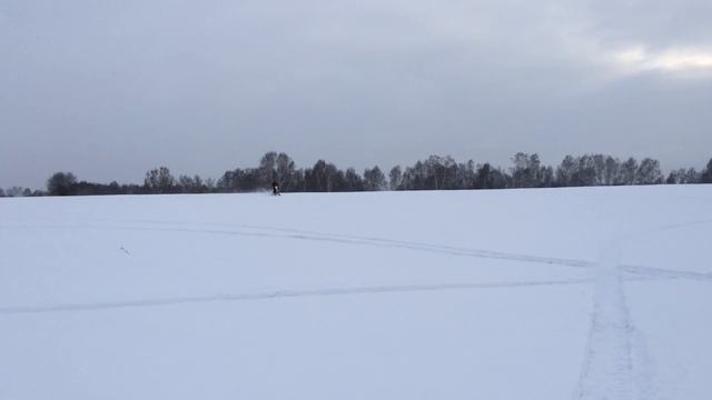 первый раз на гусеничном мотоцикле))
