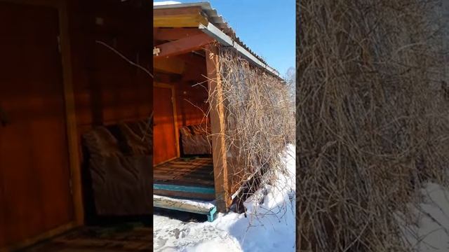 Строим дачу, первый этаж и наружная отделка. смотреть онлайн