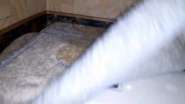 отключили свет в день вывода цыплят смотреть онлайн