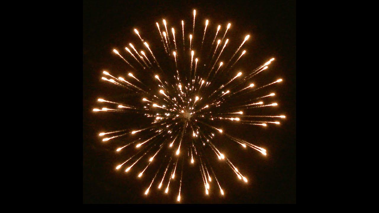 3'' SH 0301 Yellow Peony W/white Strobe Pistil 36/1 2023