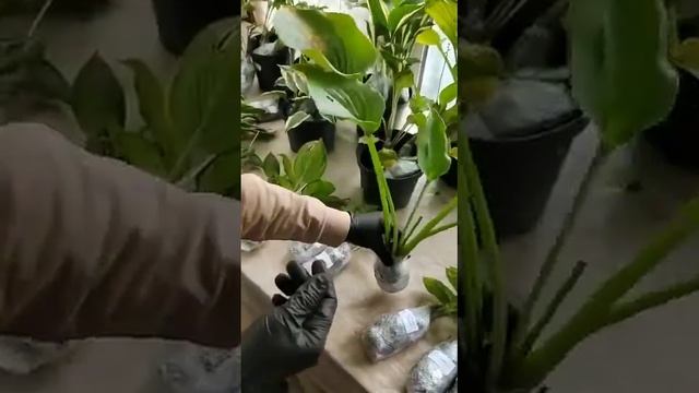 ХОСТЫ ОКС НА 2023 ГОД смотреть онлайн