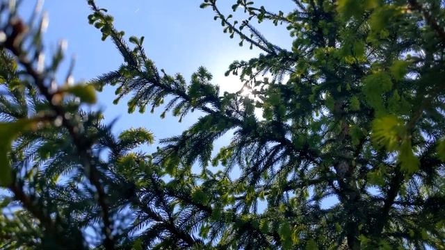 Relax Music, Guitar Music, Instrumental Music, Sleep Music