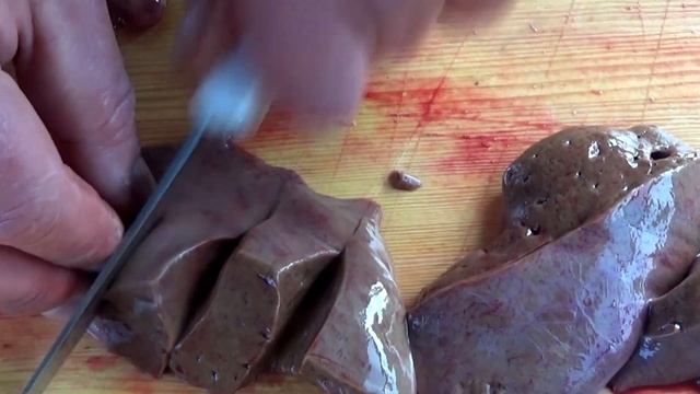 Жарим печень СОМА! Это не опасно? смотреть онлайн