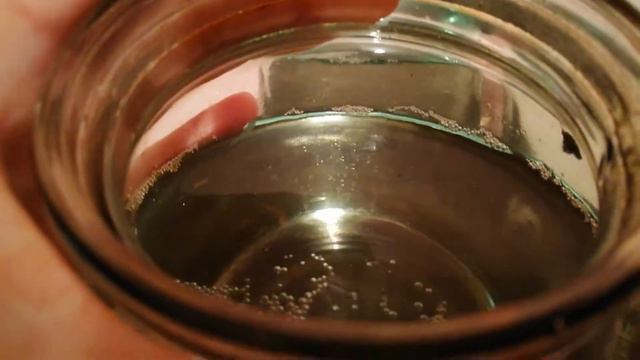 Петушки-красавчики строят гнезда сидя в банках, хотят нереститься). смотреть онлайн