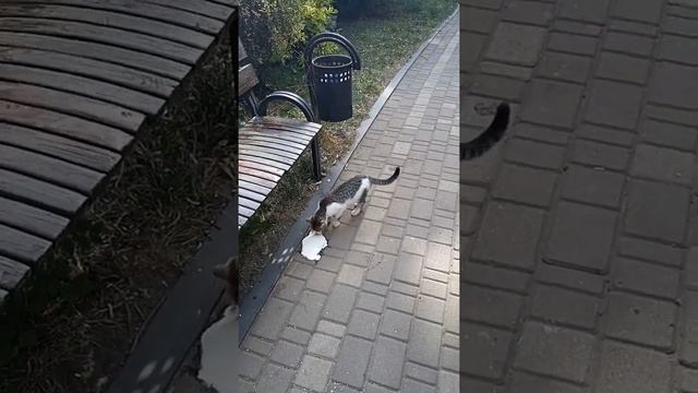 КУДА ЖЕ ДЕЛАСЬ ВОДА??? Донецк смотреть онлайн