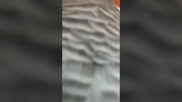 Говорящий попугай жако Моняшка - иди сюда ! смотреть онлайн