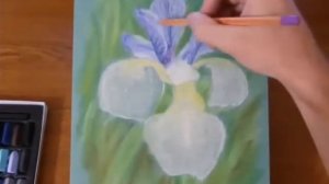 Рисуем Ирис пастелью
