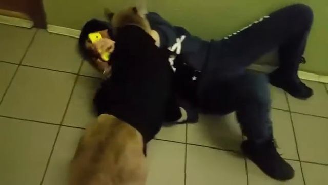 Пуменок смотреть онлайн