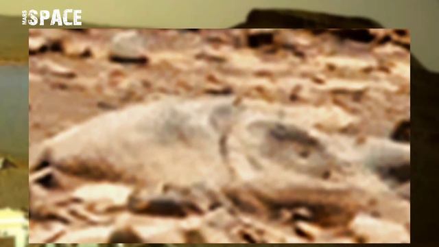 Martian Lobster: Lobster on Mars spotted by NASA's Curiosity Rover | Perseverance Pics & Video смотреть онлайн