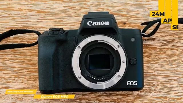 Топ-5 лучших фотоаппаратов Canon на 2022 год | Рейтинг от ТехноVizor