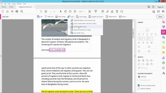 How to remove hyperlink from a pdf document using adobe acrobat pro dc смотреть онлайн