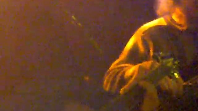 Кузя Уо,Сергей Летов и Виртуозы - Кант