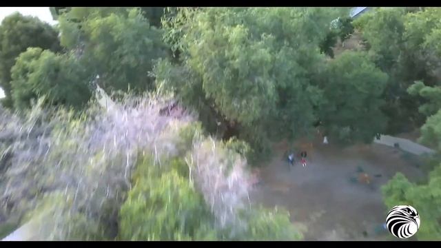 SG906PRO Елань Волгоградский область #SG906PRO#SG906#Elan смотреть онлайн