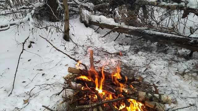 Лес Обряд Часть 4 (звуки бубна шамана) смотреть онлайн