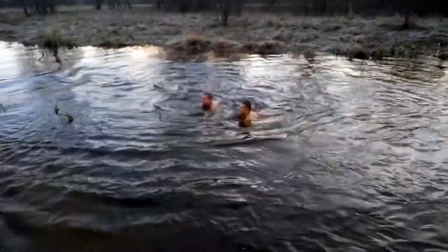 Река Сула 31.12.2017 10-30 смотреть онлайн