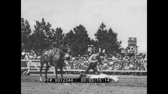 " THE CALIFORNIA RODEO AT SALINAS ” 1940’S PROFESSIONAL RODEO COWBOYS COMPETITION FILM XD72344 смотреть онлайн