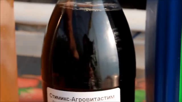 Увядание листьев томата и огурца №1 смотреть онлайн