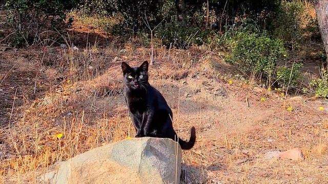 ? ПОГОДА в АЛУШТЕ в НОЯБРЕ месяце | КАКАЯ погода в КРЫМУ в НОЯБРЕ месяце | Крым 2022 | Алушта 2022 смотреть онлайн