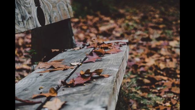 31 Октября День Святого Луки.Луков День.Православный календарь.Приметы. смотреть онлайн