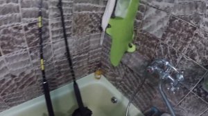 Обзор электрической рыболовной катушки Daiwa tanacom 1000 /  Browse reels Daiwa tanacom 1000