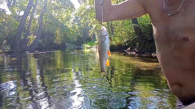 Рыбалка на кузнечика. смотреть онлайн