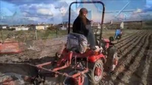 МТЗ 152 (16" колеса) посадка картофеля