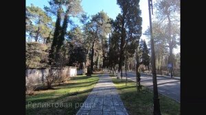 Абхазия | Пицунда | Лечебный курорт | Аквапарк Пицунда | Отдых с детьми в Пицунде | Целебный воздух