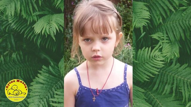 Маргарита Скороходова "Бездомный кот" смотреть онлайн