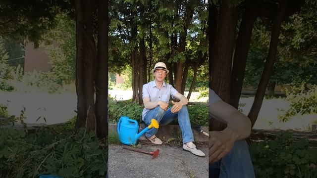 Проект "Советская дача-связь времен" смотреть онлайн