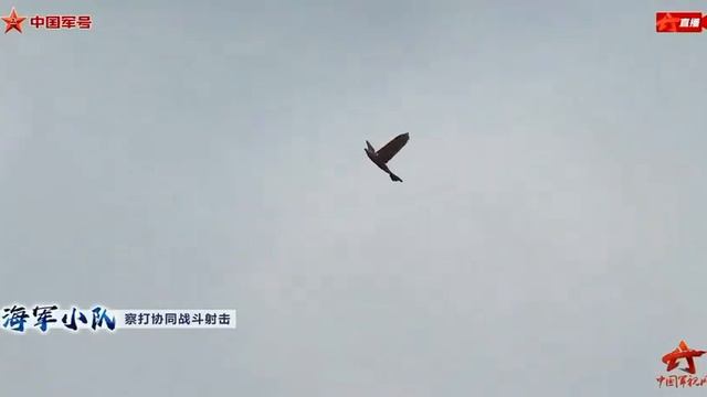 Китайские военные получили на вооружение разведывательный дрон в виде птицы