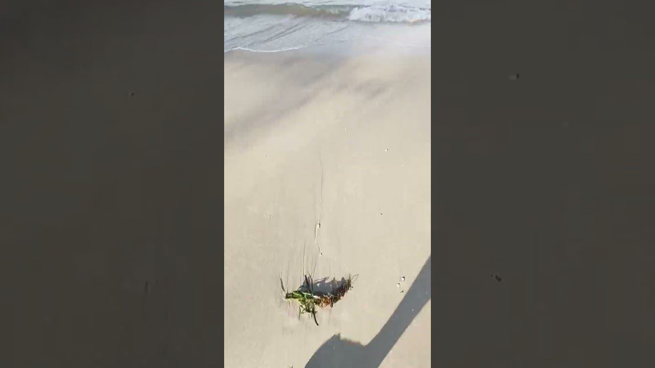 Море в Камбодже. Сиануквиль смотреть онлайн