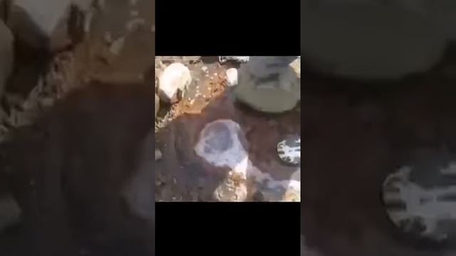 Караганда ( РТИ) смотреть онлайн