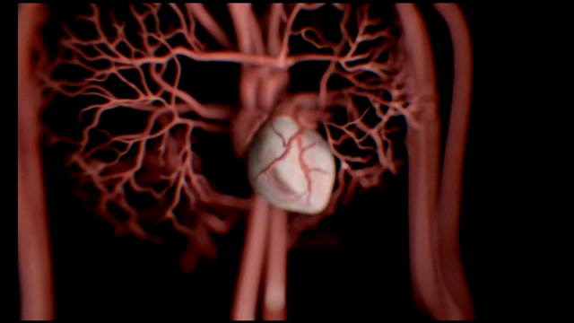 Алкоголь и сердце