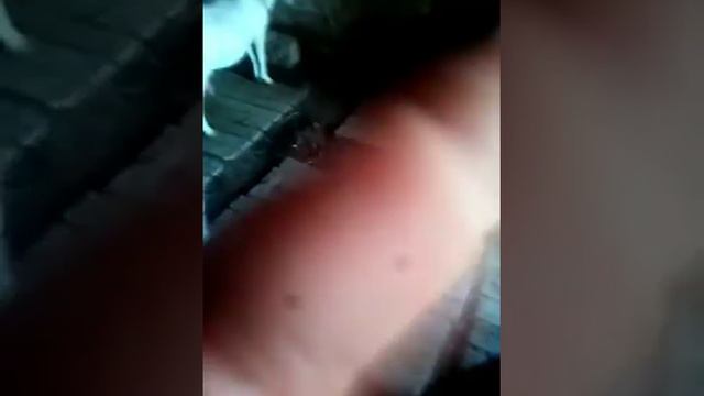 дойка коз смотреть онлайн