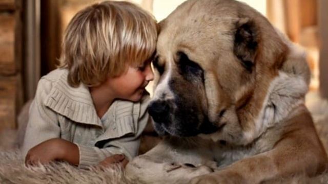 Чому пес живе з людиною. Українська народна казка. ????? смотреть онлайн