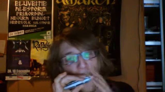 Harmonica Cover - Drunken lullabies смотреть онлайн