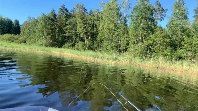 Топ приманок на щуку! На что клюёт судак?! Рыбалка / отдых / троллинг смотреть онлайн