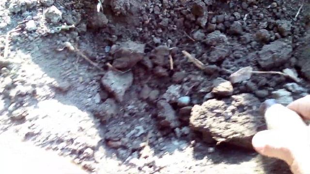 Хранение черенков инжира,граната,винограда зимой смотреть онлайн