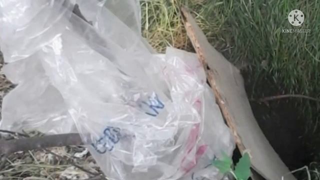Собака провалилась в люк, только посмотрите кто пришёл к ней на помощь смотреть онлайн