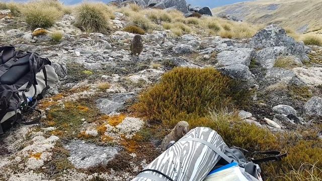 Двухдневный поход около озера Моноваи. Видео 2. Попугай Кеа. смотреть онлайн