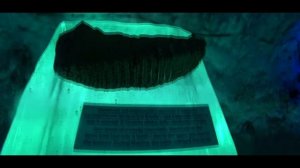 Орёл и решка Якутск