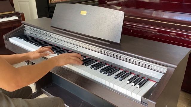 CASIO CELVIANO AP-45 Digital Piano