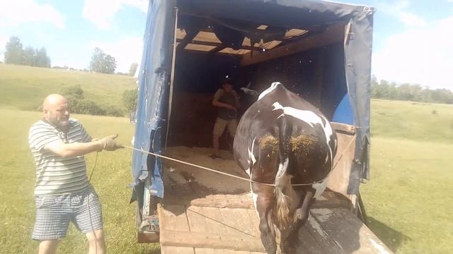 Встреча с молодым ковбоем. смотреть онлайн