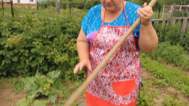 Что стало с КАПУСТОЙ ПОД БУТЫЛКАМИ?! смотреть онлайн