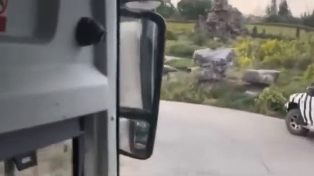 Работника зоопарка растерзали на глазах посетителей смотреть онлайн